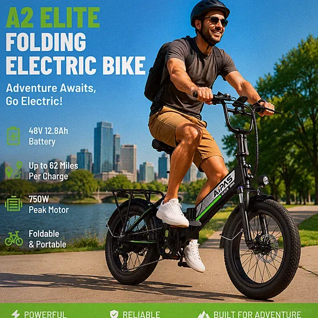 Folding Electric Bicycle 20" 750W Peak 12.8Ah City 3.0 Fat Tire 7-Speed US