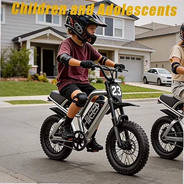 Hikeep 16''x3 48V 15Ah Electric Bike 1500W Peak E-bike Fat tires for Teenager US